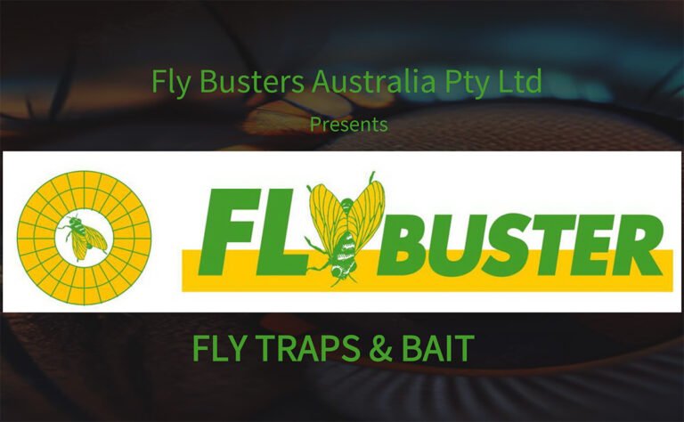 Read more about the article Flybusters Australia Presentation